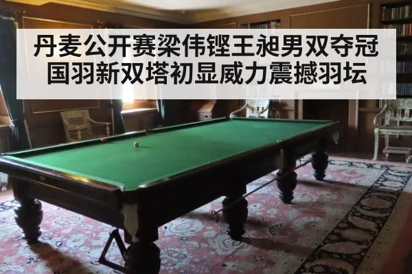 丹麦公开赛梁伟铿王昶男双夺冠 国羽新双塔初显威力震撼羽坛